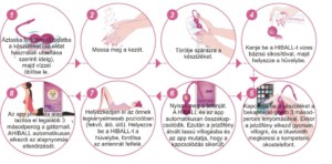 enterococcus sp okozta húgyúti gyulladás, Escherichia coli baktériumok okozta fertőzés, inkontinencia, hólyaghurut,